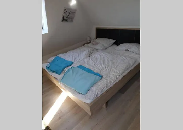 Daire Nordsee'n Sucht *